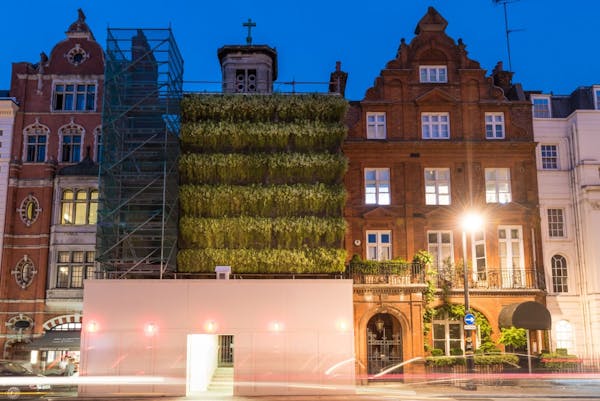 Image for Arup and Grosvenor trial 'living wall' scaffolding on Grade I Mayfair landmark