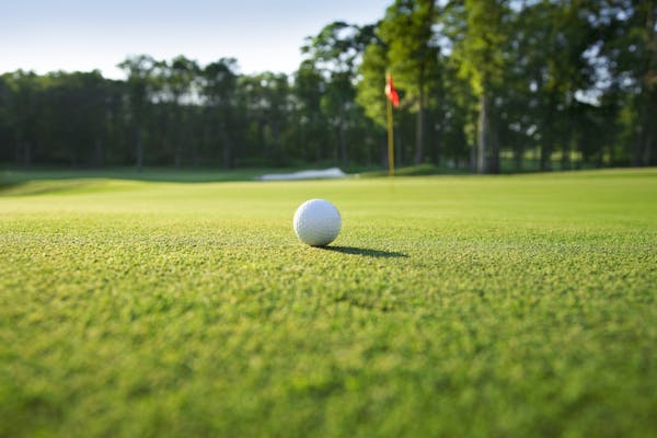 Image for Savills tees up specialist golf team