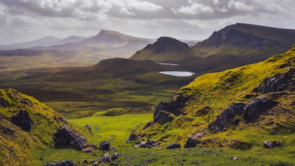 Image for Scotland's property market 'has gone from zero to full ahead in the blink of an eye'