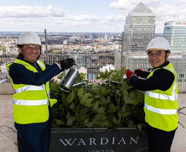 Image for EcoWorld Ballymore's botanical-themed London towers top out