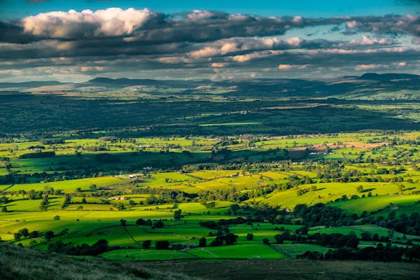 Image for Countryside Codes: On navigating rural planning regimes