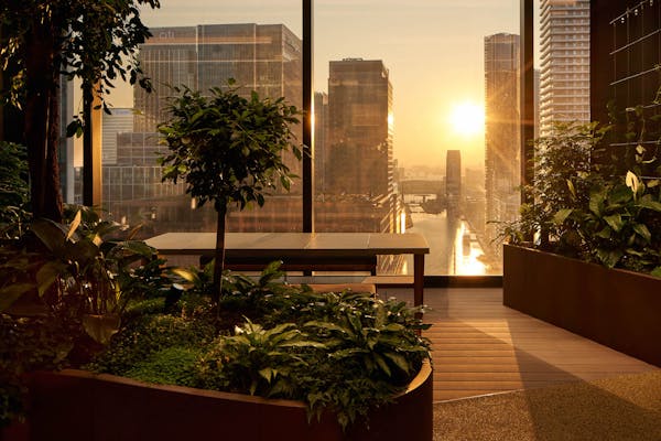 Image for In Pictures: Britain's highest tropical garden opens in Chalegrove's Landmark Pinnacle tower