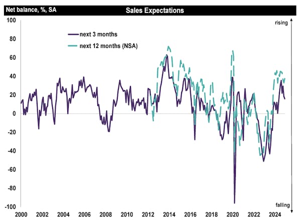 Image for Surveyors' expectations for the year ahead 'remain solidly positive for now'