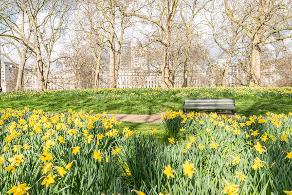 Image for One Battle After Another: Charlie Ellingworth on the forces shaping the spring market