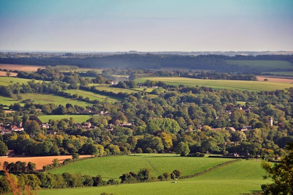 Image for Letter from the country: Old chestnuts & bottomless money pits