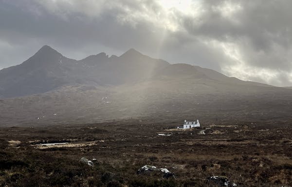 Image for Postcard from Scotland: 'Steady as she goes' across a tapestry of diverse local markets