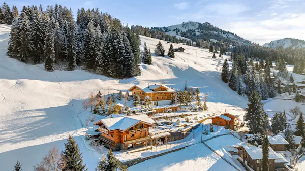 Image for In Pictures: 'Extraordinary' double chalet in Gstaad goes under the hammer